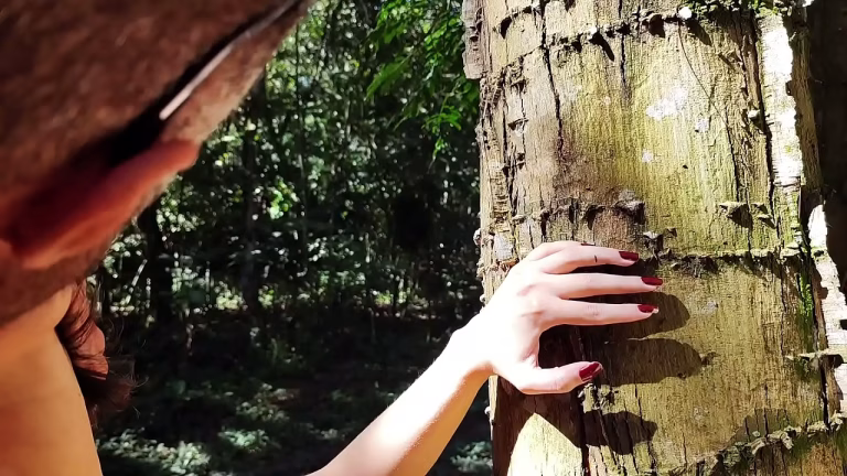 Ma belle-fille bronzée me provoque en forêt jusqu'à ce que je défonce son cul vierge